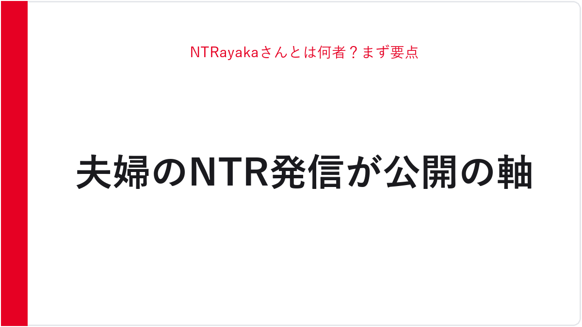 NTRayakaさんとは何者？まず要点